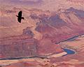 Grand Canyon Desert View