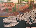 Rainbow Forest Museum