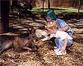 Kids petting a kangaroo