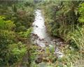 Ayung River