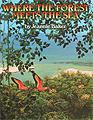 australia childrens books nature Where the Forest Meets the Sea