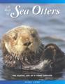 A Raft of Sea Otters kids books