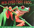 Red-Eyed Tree Frog nature kids costa rica