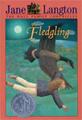 THe Fledgling kids fantasy massachusetts