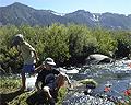 Mammoth Creek