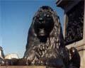 Trafalgar Square