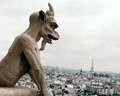 Notre Dame gargoyle
