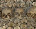 Paris Catacombs