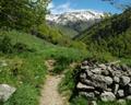 Pyrenees