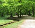 Nymphenburg park