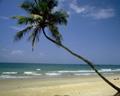 Goa
