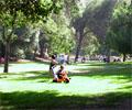 Griffith Park
