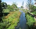 Town Brook