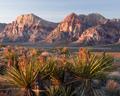 Nevada desert