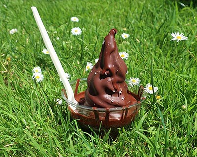 dip twirl ice cream truck