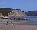 Drakes Beach