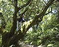 Tomales Bay State Park