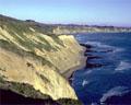 Point Reyes