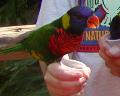 Wild Animal Park