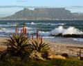 Cape Town