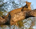 Kruger National Park