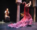 Flamenco