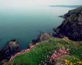St. David's Head