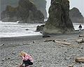 Ruby Beach
