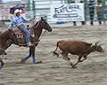 Jackson rodeo