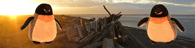 pengos beach olympic peninsula washington