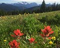 manning provincial park