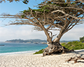 carmel beach