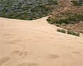 sand dunes