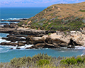 spooner cove