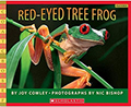 red-eyed tree frog