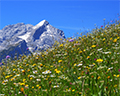 garmisch partenkirchen