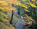 maruyama park