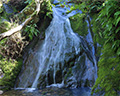 novato ken harth waterfall