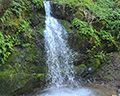 buck gulch falls novato ca