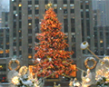 rockefeller center christmas tree