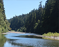 eel river
