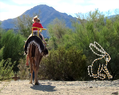 living desert zoo gardens palm springs camel rides