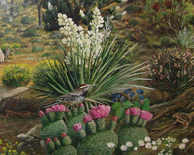 wildlife and pants of desert