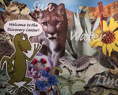 living desert zoo gardens palm springs discovery center