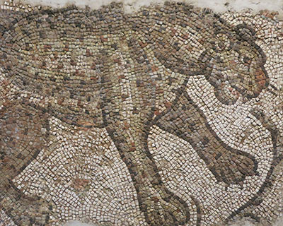 art institute chicago byzantine leopard mosaic