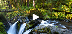 olympic peninsula video