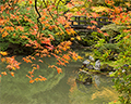 portland japanese garden