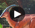 dino days