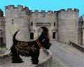 stirling castle