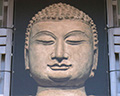 seattle asian art museum